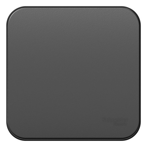 Купить BLNVA106016 BLANCA О/У 1-клавишный ПЕРЕКЛЮЧАТЕЛЬ (cх.6) ИЗОЛ.ПЛ, 10А, 250B, АНТРАЦИТ в Минске