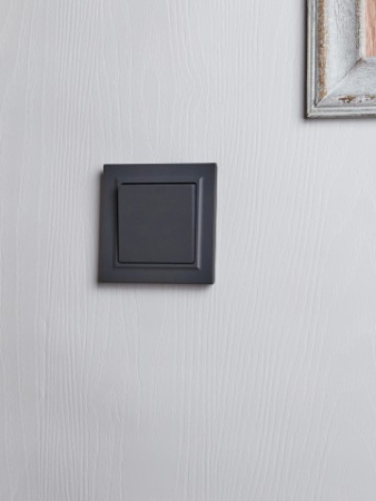 BRITE Выключатель 1-клавишный 10А в сборе ВСР10-1-0-БрГ графит IEK