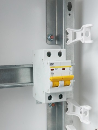 Авт. выкл.ВА47-29 2Р 25А 4,5кА х-ка D ИЭК фото в интернет-магазине БелЭлектрикМонтаж