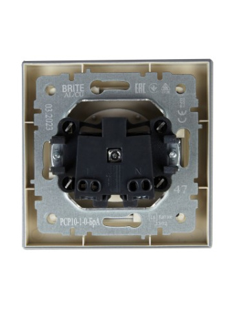 BRITE Розетка 1-местная без заземления без защитных шторок 10А РС10-1-0-БрА алюминий IEK фото в интернет-магазине БелЭлектрикМонтаж