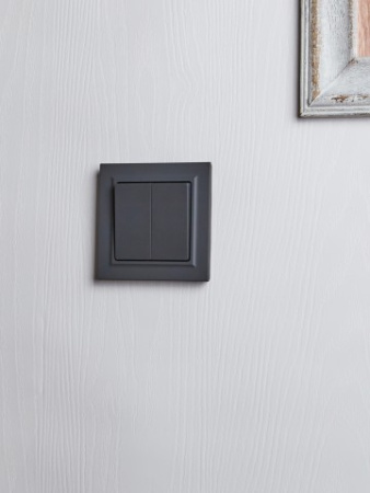 BRITE Выключатель 2-клавишный 10А в сборе ВСР10-2-0-БрГ графит IEK