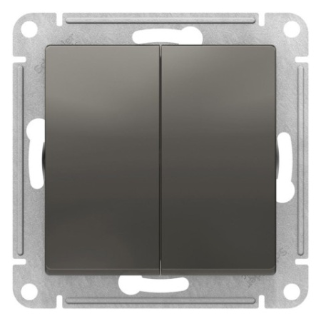Переключатель 2-клавишный Schneider Electric AtlasDesign ATN000965 Сталь фото в интернет-магазине БелЭлектрикМонтаж
