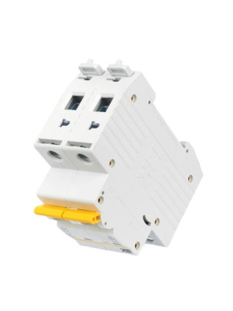 ВА47-29 2Р 40А 4,5кА х-ка С ИЭК автоматический выключатель