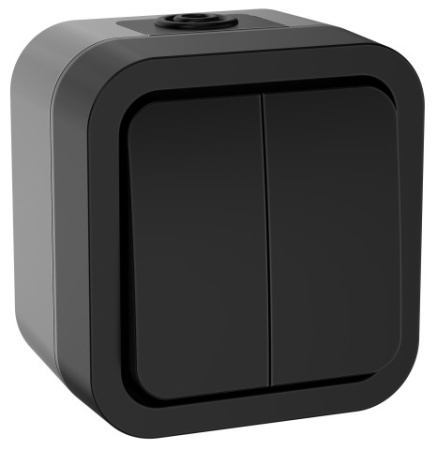 TORS Выключатель двухклавишный 10А IP55 TS105 графит IEK фото в интернет-магазине БелЭлектрикМонтаж